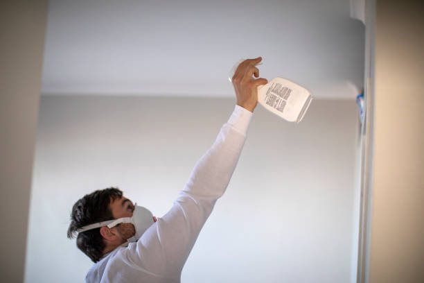 Best Home Mold Removal  in Springfield, NJ